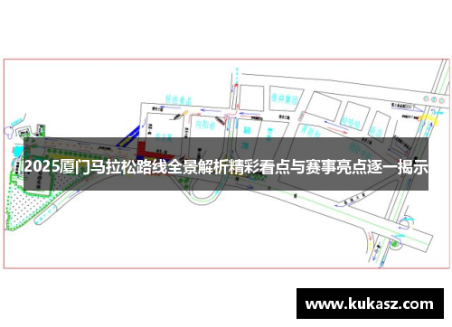 2025厦门马拉松路线全景解析精彩看点与赛事亮点逐一揭示