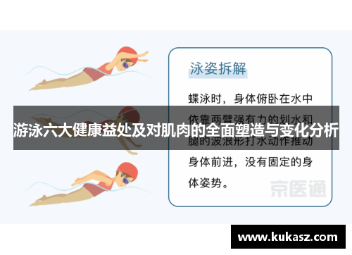游泳六大健康益处及对肌肉的全面塑造与变化分析